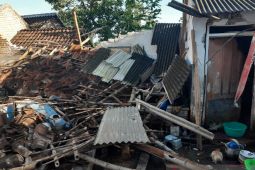 Belasan rumah warga di Jember  rusak akibat gempa bumi