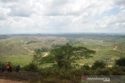 Perusahaan pengembang perumahan mencari lahan di ibu kota negara baru
