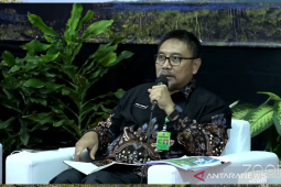KLHK ungkap luas tutupan hutan Indonesia capai 95,6 juta hektare