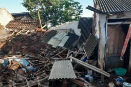 Belasan rumah warga di Jember rusak akibat gempa bumi