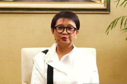 Menlu RI: Indonesia akan terus perjuangkan Palestina