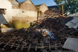 BPBD catat 46 rumah rusak akibat gempa di Jember