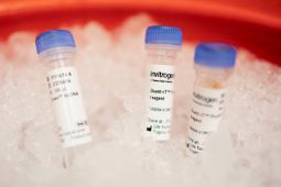 Omicron datang, jangan panik  tapi waspada selalu