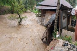 Belasan kecamatan di Madina terendam banjir