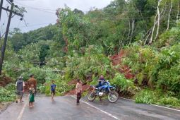 Tebing longsor, akses Jalan Nasional Pantai Barat Tapsel - Madina putus total