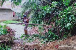 Hujan, rabat beton dan bronjong Desa Sumuran rusak dihajar banjir