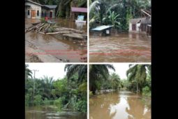 Muara Batang Toru Tapsel kini dikepung banjir