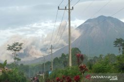 Mount Semeru emit 3  km long of hot clouds avalanche