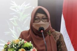Kadis KP3A ingatkan perempuan Kaltim terampil siasati pandemi