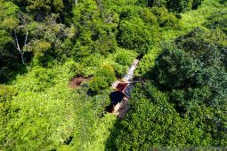 Melindungi masyarakat adat amanah konstitusi