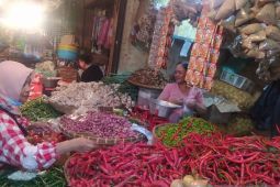 Kenaikan harga cabai karena minimnya hasil panen, sebut Diskoperindag