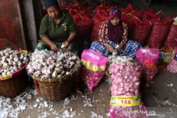 PPBN minta pemerintah bijak soal impor bawang putih