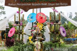 Festival Hortikultura Kebon Ambu digelar di Purwakarta
