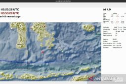 Gempa magnitudo 4,9 guncang  wilayah Buton Selatan