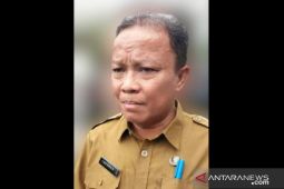 Pemda Bangka Selatan apresiasi pilkades berjalan lancar