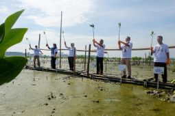 Pelindo Marines hijaukan pesisir utara Romokalisari Surabaya