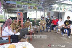 Gubernur Babel : Pertanian Jadi Sektor Unggulan Babel di Masa Mendatang