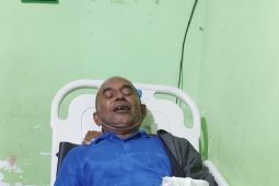 Pohon tumbang lukai satu pengojek di Ambon,begini kronologinya