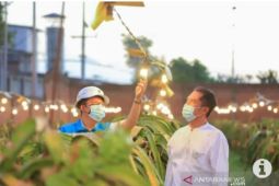 PLN hadirkan listrik andal untuk pertanian hortikultura di Indonesia