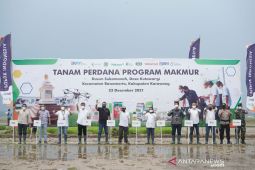 Tanam perdana Program Makmur di Karawang