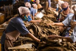 PTPN X catat kinerja positif pada tahun 2021
