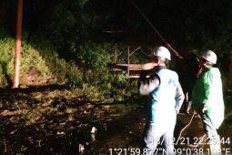 PLN Padangsidimpuan klaim 100 persen Listrik di Madina dan Tapsel sudah pulih