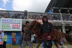216 kuda ramaikan latihan bersama pacuan kuda HUT ke-445 Kota Takengon