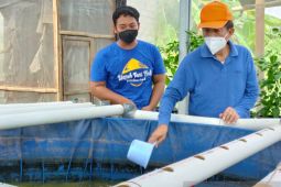 Anggota DPD dorong petani Bali lebih serius bertani