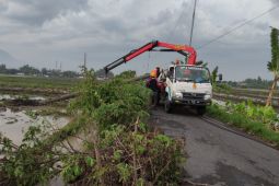 Belasan rumah warga di Sidoarjo rusak diterjang angin kencang