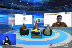 Waspadai pasukan siber yang pengaruhi opini dan ancam demokrasi