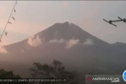 Semeru keluarkan asap kawah setinggi 500 meter