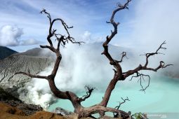 Wisata Kawah Ijen