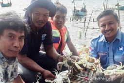 Pakar: Rajungan diharapkan bersertifikasi ekolabel pada akhir 2022