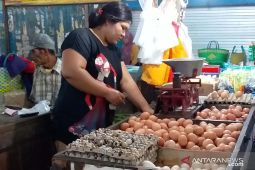 Harga sejumlah kebutuhan pokok di Jember naik jelang akhir tahun
