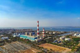 Pemerintah akan data teknologi PLTU untuk  konversi ke biomassa