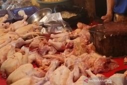 BPOM sebut makanan di Bengkulu bebas dari bahan berbahaya
