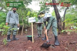 Polhut Kalsel tanam seribu bibit pohon di Tahura