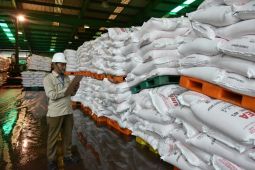Pusri akan salurkan 94.509 ton pupuk urea  subsidi di sembilan provinsi