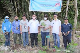 ANTARA Biro Kalbar tanam pohon di Kawasan Tanagupa KKU
