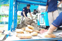 BNNP Jambi musnahkan ribuan butir pil ekstasi, ganja dan sabu-sabu
