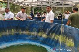 Komisi II DPRD Babel tinjau pembudidayaan ikan di Simpang Katis