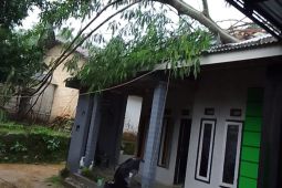Hujan deras disertai angin kencang melanda Pamekasan