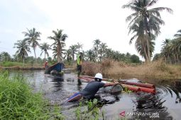 Emban amanah PMN Rp 5 Triliun, PLN prioritaskan program Listrik Desa dan Pengembangan EBT