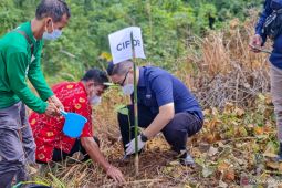 Tutup akhir tahun 2021 dengan gerakan menanam pohon