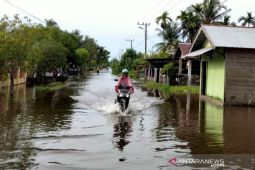 Petugas BPBD Aceh Barat pantau aliran sungai antisipasi banjir