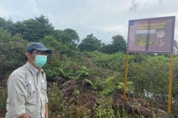 Konservasi buaya senyulong di Muba