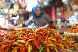 Cabai rawit pemicu utama inflasi bulan Desember di Gorontalo