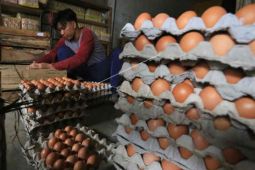 Telur ayam dan tiket kereta picu inflasi di Cirebon pada Desember 2021