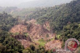 Aktivis minta Presiden segera terbitkan peraturan tata ruang KEL