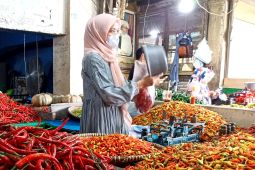 Harga cabai rawit di Banjarmasin naik capai Rp130 ribu per Kg